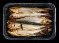 Hot whole smoked sprat Baltic sea fish with heads and guts in plastic box isolated