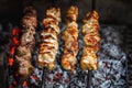 Hot yummy barbecue, shashlik, kebab, skewer on the grill Royalty Free Stock Photo