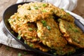 Hot Zucchini Fritters with green onions on a plate close-up. horizontal Royalty Free Stock Photo