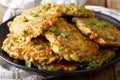Hot zucchini pancakes with green onions on a plate close-up. Horizontal Royalty Free Stock Photo