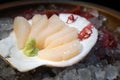 Hotate sashimi set is beautifully arranged on ice decorated with large shell Royalty Free Stock Photo
