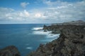 Hotbeds of Lanzarote Royalty Free Stock Photo