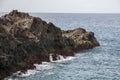 Hotbeds of Lanzarote Royalty Free Stock Photo