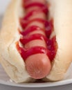 Hotdog