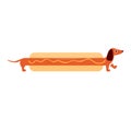 HOTDOG dachshund cute vector illustration