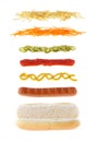 Hotdog with different ingredients isolated