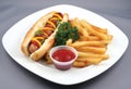 Hotdog with fries Royalty Free Stock Photo