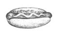 Hotdog hand drawn Royalty Free Stock Photo