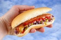 Hotdog in hand Royalty Free Stock Photo