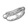 Hotdog. Isolated on white background. Royalty Free Stock Photo