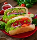 Hotdog with ketchup, mustard, lettuce and vegetables Royalty Free Stock Photo