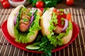Hotdog with ketchup, mustard, lettuce and vegetables Royalty Free Stock Photo