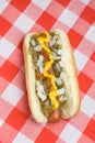 Hotdog on picnic table