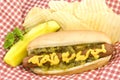 Hotdog Potato Chips and Pickle Royalty Free Stock Photo
