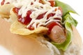 Hotdog with potato chips and tomato ketchup Royalty Free Stock Photo