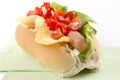 Hotdog with potato chips and tomato relish Royalty Free Stock Photo