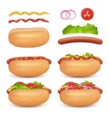 Hotdog realistic. Sausages buns meals tomato sauce fast food hamburger ingredients decent vector illustrations