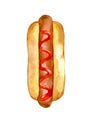 Hotdog with red ketchup. Hand drawn watercolor illustration isolated on white background Royalty Free Stock Photo