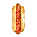 Hotdog with red ketchup. Hand drawn watercolor illustration isolated on white background. Vector Royalty Free Stock Photo