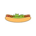 Vector hotdog with sausage, mustard, ketchup and salad. Isolated on white background. Royalty Free Stock Photo