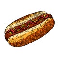 hotdog sausage sketch hand drawn vector Royalty Free Stock Photo