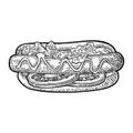 Hotdog with tomato, mustard, leave lettuce. Vector black engraving