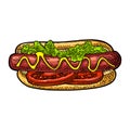 Hotdog with tomato, mustard, leave lettuce. Vector color engraving