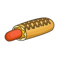 Hotdog vector icon.Color vector icon isolated on white background hotdog Royalty Free Stock Photo