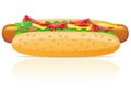 Hotdog vector illustration