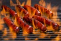 Hotdogs on a Flaming Hot Barbecue Grill Royalty Free Stock Photo