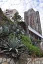 Hotel architecture building green nature plants