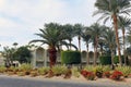 hotel area with palm trees landscape