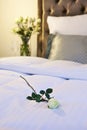 Hotel bed Royalty Free Stock Photo