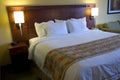 Hotel bed and lamps