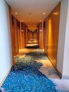 Hotel corridors with nice carpet