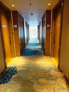 Hotel corridors with nice carpet 2