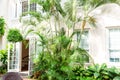 Hotel facade with palms and plants.