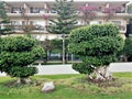 Hotel garden and building adorned with blooming bougainvillea Royalty Free Stock Photo