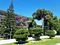 Hotel garden with exotic trees and building adorned with blooming bougainvillea Royalty Free Stock Photo