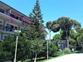 Hotel garden with exotic trees and building adorned with blooming bougainvillea Royalty Free Stock Photo