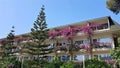 Hotel garden scene with exotic trees and building adorned with blooming bougainvillea Royalty Free Stock Photo