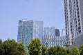 Hotel Indigo, skyscrapers and office buildings in the city skyline with a gorgeous clear blue sky and lush green trees