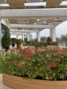 Waldorf Astoria Dubai Palm Jumeirah Interiors Royalty Free Stock Photo