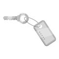 Hotel key icon, gray monochrome style Royalty Free Stock Photo