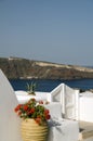 Hotel with plant sea view santorini Royalty Free Stock Photo