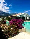 Hotel pool and flowers bush Royalty Free Stock Photo