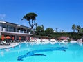 Hotel resort scene with pool, lounge chairs and pine trees Royalty Free Stock Photo