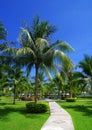 garden stone path with grass Royalty Free Stock Photo