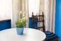 Hotel room interior, flowers in pot on the table Royalty Free Stock Photo