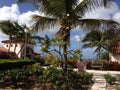 Hotel Villa Palms Caribbean sea